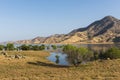 Lake Kaweah in California