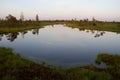 Lake in Kemeri marsh in Latvia Royalty Free Stock Photo