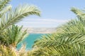 Lake Kinneret or Sea of Galilee in the frame of palm fronds Royalty Free Stock Photo