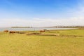 Lake Koka in Ethiopia Royalty Free Stock Photo