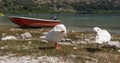 The Lake Kourna Crete. Royalty Free Stock Photo