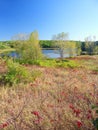 Lake La Grange Kettle Moraine State Forest Royalty Free Stock Photo