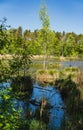 Lake landscape with clumps of grass protruding above the water surface Royalty Free Stock Photo