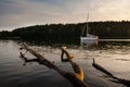 Lake landscape with dead tree Royalty Free Stock Photo