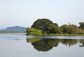 Lake landscape - green trees with water reflection Royalty Free Stock Photo