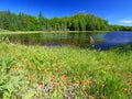 Wisconsin Lake Landscape Royalty Free Stock Photo