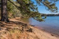 Lake Lanier shoreline in autumn Royalty Free Stock Photo