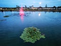 Lake with lilies and artesian fountain