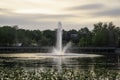 Lake Lily in the Morning in Maitland, Florida Royalty Free Stock Photo