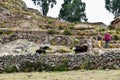 Taquile Island-landscape-Peru 242