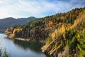 Colorful forests on the shores of Gura Apelor reservoir, Romania Royalty Free Stock Photo