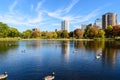 Lake in Loring Park, Minneapolis Royalty Free Stock Photo