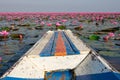 Lake With Lotos Flowers