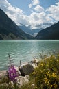 Lake Louise, Alberta, Canada Royalty Free Stock Photo