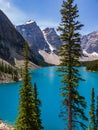 Lake Louise in Banff National Park Alberta, Canada Royalty Free Stock Photo