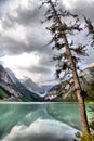 Lake Louise Royalty Free Stock Photo