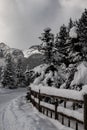 Lake Louise is a winter wonderland. Banff National Park Alberta Canada Royalty Free Stock Photo