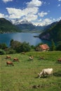 Lake Lucerne Royalty Free Stock Photo
