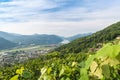 Lake Lugano with vineyards, Lugano airport and Agno town, Switzerland