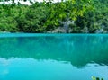 The lake with luminous azure-colored water. Greenery and rocks. Plitvice Lakes, Croatia