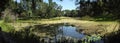 Lake in lush park in Florida Royalty Free Stock Photo