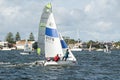 Kids sailing racing dinghy. April 16, 2013: Editorial