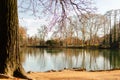 Lake in the main park of Lyon, France. Royalty Free Stock Photo