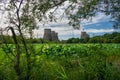 Lake with many lotuses near the hydro-power station Royalty Free Stock Photo