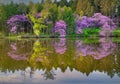 Lake Marmo in the Spring Royalty Free Stock Photo