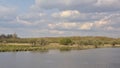 Lake and marsh landscape with willow bushes in the Flemish countryside