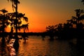 Lake Martin Golden Sunset in Southern Louisiana Royalty Free Stock Photo