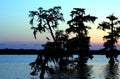 Lake Martin Sunset in Southern Louisiana Royalty Free Stock Photo