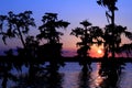 Lake Martin Sunset in Southern Louisiana Royalty Free Stock Photo