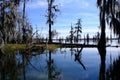 Lake Martin swamp in Breaux Bridge Louisiana