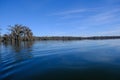 Lake Martin swamp in Breaux Bridge Louisiana