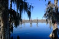 Lake Martin swamp in Breaux Bridge Louisiana