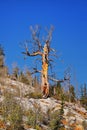 Lake Mary Martha and Catherine hiking trail views to Sunset Peak on the Great Western Trail by Brighton, fall autumn colors. Rocky Royalty Free Stock Photo