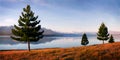 Lake Matheson Island New Zealand Landscape Concept Royalty Free Stock Photo