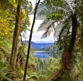 Lake Matheson, New Zealand - HDR image Royalty Free Stock Photo