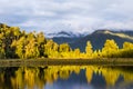 Lake Matheson, New Zealand Royalty Free Stock Photo