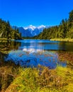 Lake Matheson surrounded by forests