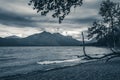 Lake McDonald, Glacier National Park, Montana. Black and white. Royalty Free Stock Photo