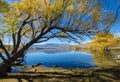 Lake McGregor,Canterbury Region, New Zealand Royalty Free Stock Photo