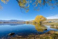 Lake McGregor,Canterbury Region, New Zealand Royalty Free Stock Photo