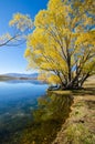 Lake McGregor,Canterbury Region, New Zealand Royalty Free Stock Photo