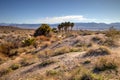 Lake Mead Desert Spring Landscape Royalty Free Stock Photo