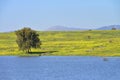 Lake and meadows in golan Heights Royalty Free Stock Photo