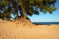 Lake Michigan Beach Royalty Free Stock Photo