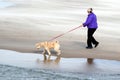 Lake michigan dog walker