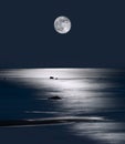 Lake Michigan Moonrise Royalty Free Stock Photo